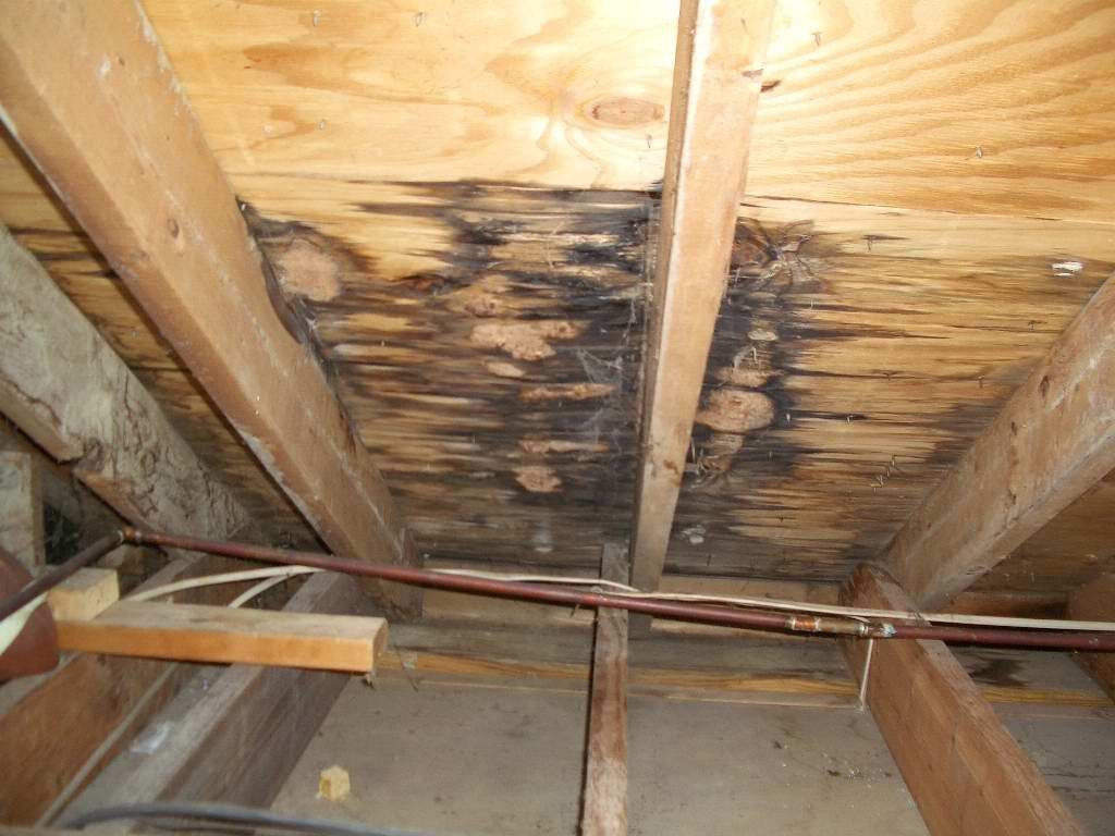 Roof Leaks For Repair